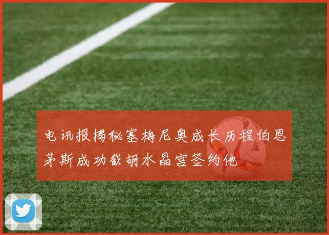 电讯报揭秘塞梅尼奥成长历程伯恩茅斯成功截胡水晶宫签约他