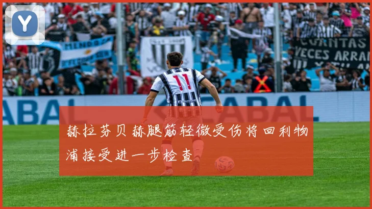 赫拉芬贝赫腿筋轻微受伤将回利物浦接受进一步检查