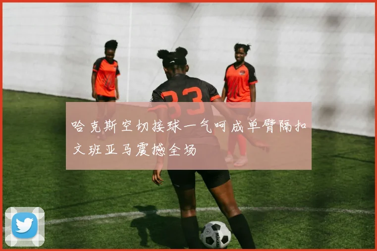 哈克斯空切接球一气呵成单臂隔扣文班亚马震撼全场