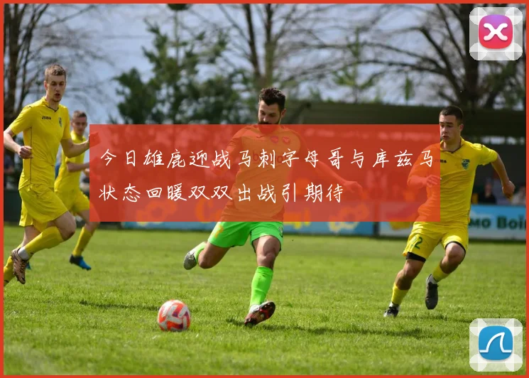 今日雄鹿迎战马刺字母哥与库兹马状态回暖双双出战引期待