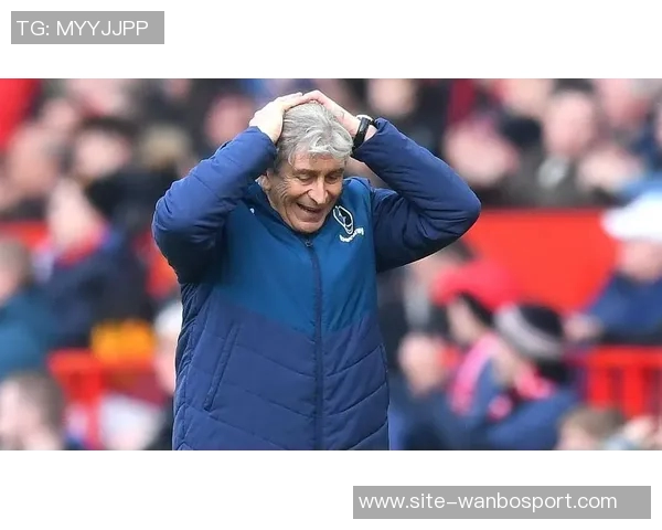 佩莱格里尼补射破门被判越位无效VAR介入引发争议与讨论