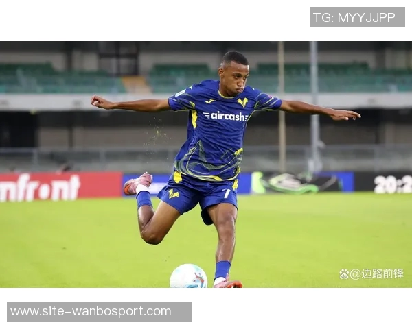 罗马关注维罗纳右后卫贝尔加利预计转会费约1500万欧元